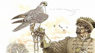 Image 5.jpeg Image 5.jpeg