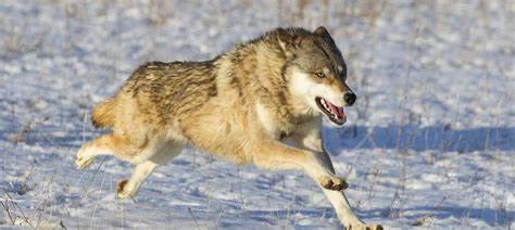 Image 13.jpeg Image 13.jpeg